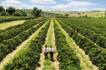 O Projeto Florada e o importante papel das mulheres cafeicultoras