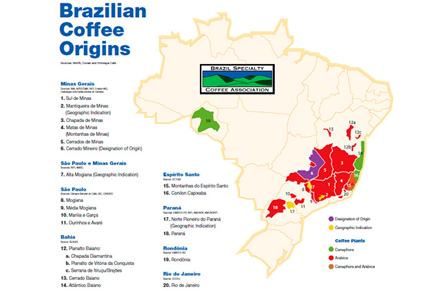 Mapa com as origens produtoras de cafe no Brasil e divulgado1   Mapa mostra as origens produtoras de café no Brasil 