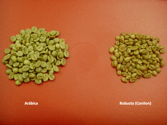 Café Arábica x Café Robusta. Você sabe qual é a diferença?