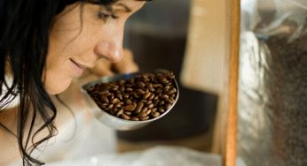 Café Orgânico – feito “à moda antiga”