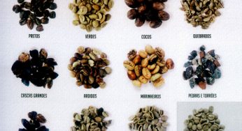 Os defeitos do café e suas classificações