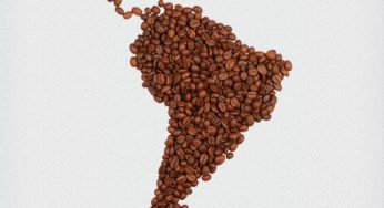 Brasil – o gigante do café
