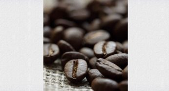 Café do Vietnã – Crescimento Meteórico