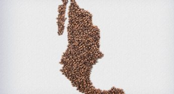 Café do México