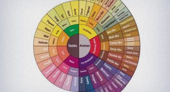 Roda de Aromas e Sabores do Café