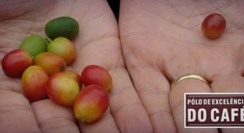Você sabe o que é Big Coffee?