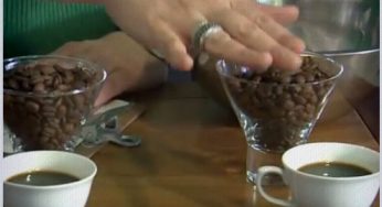 Como fazer blends de café em casa