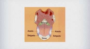 Curiosidades sobre papilas gustativas