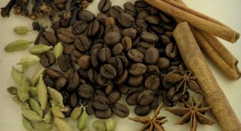 Uma nova categoria de café nasce