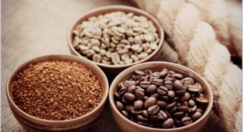 Conheça os tipos de grãos de café