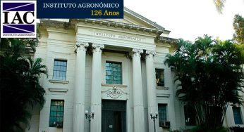 O que é o IAC ou o Instituto Agronômico de Campinas?