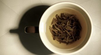 Chá e café: o que é infusão?