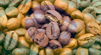 Estrangeiros experimentam o café do Brasil durante o mundial