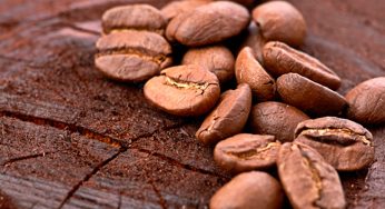 O café pode ser o biocombustível do futuro