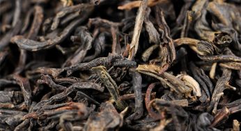 LapSang SouChong – O chá defumado da China