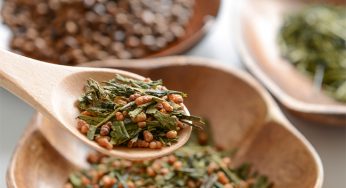 Genmaicha, o chá de pipoca japonês