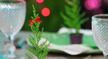 Pinheirinhos de Natal com cápsulas de café