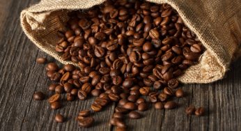 Embalagens e armazenamento influenciam no sabor do café?