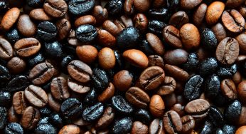 Torrefacto: Uma maneira diferente de torrar o café