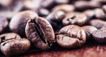 Pós-graduação em cafeicultura abre inscrições em MG