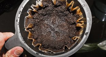Borra de café ajuda a purificar a água