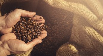 Evento reúne profissionais da cafeicultura em SP e MG