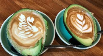Avolatte: O café na casca de abacate